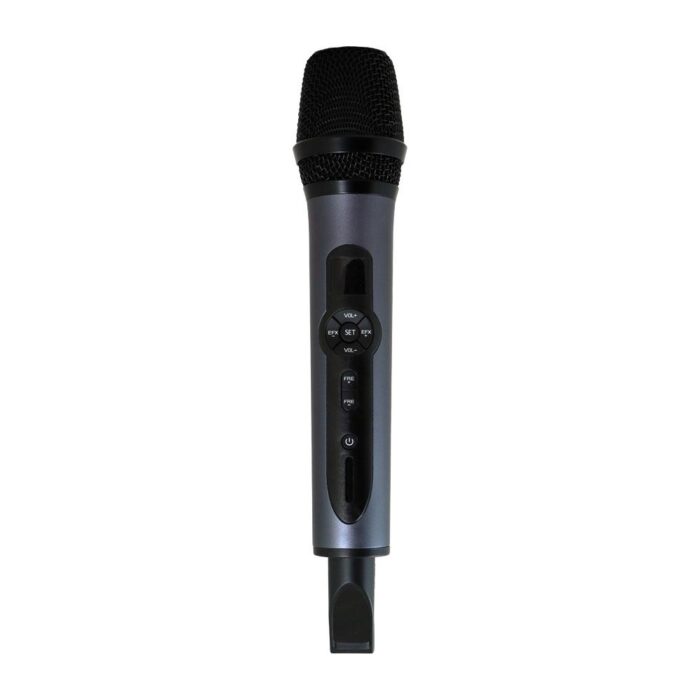 MIC1